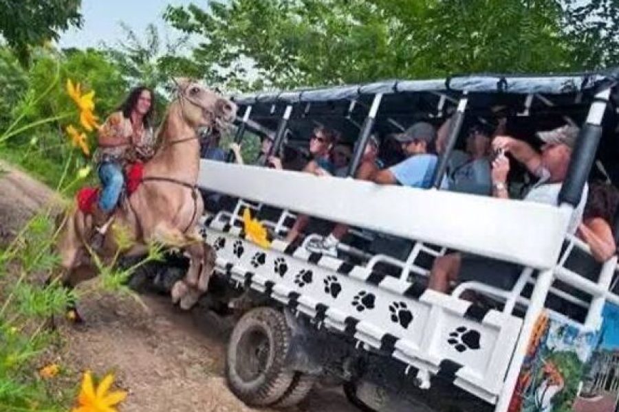 Punta Cana Safari Tour | Countryside, Higuey & Macao