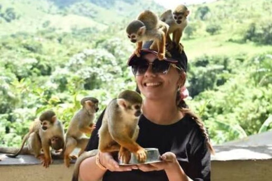 Monkeyland Punta Cana Tour | Monkeys & Plantation Visit