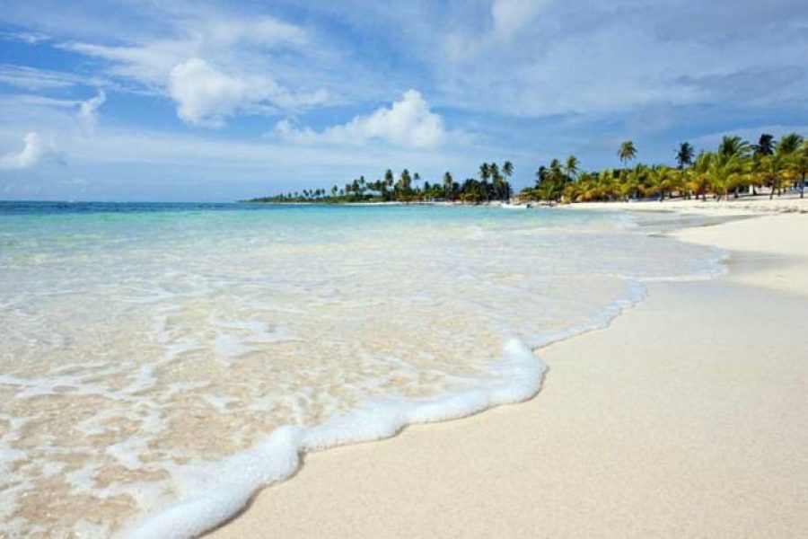 Saona Island day tour beach; natural pool on Saona Island; catamaran to Saona Island
